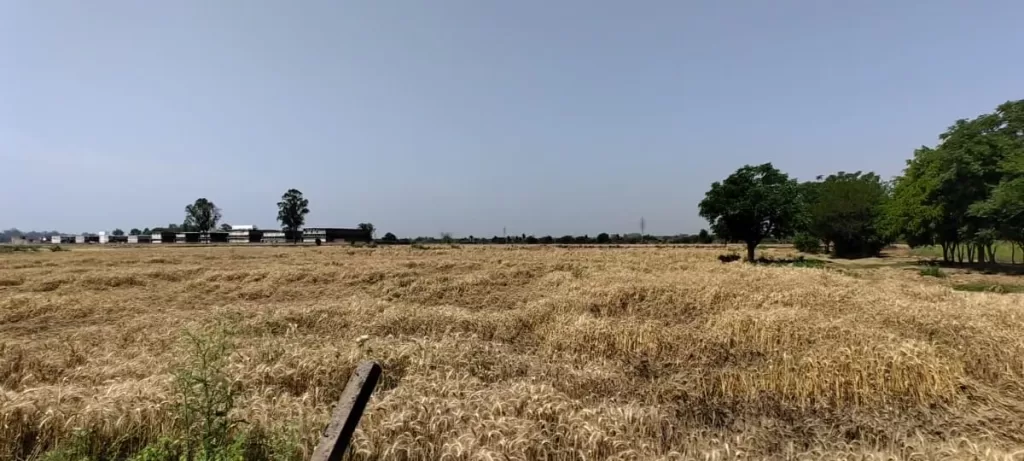 Land For Sale Near Mohali